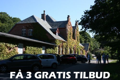 Gulvafslibning Ishøj