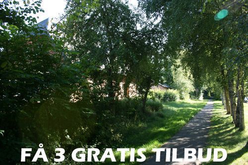 Gulvafslibning Måløv