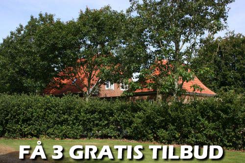 Gratis gulvafslibningtilbud: Du sparer både arbejdet og penge (25-30 pct) Gratis gulvafslibningtilbud: Håndværkerarbejde - Få tilbud på den smarteste løsning